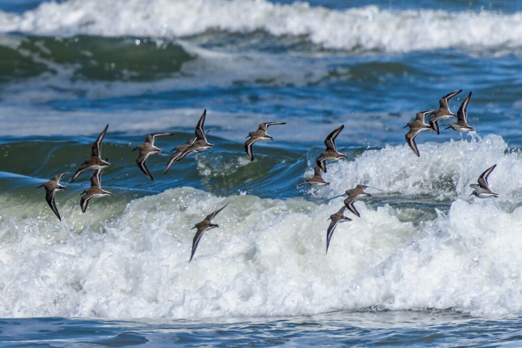 Photo by Steve Adams on Unsplash