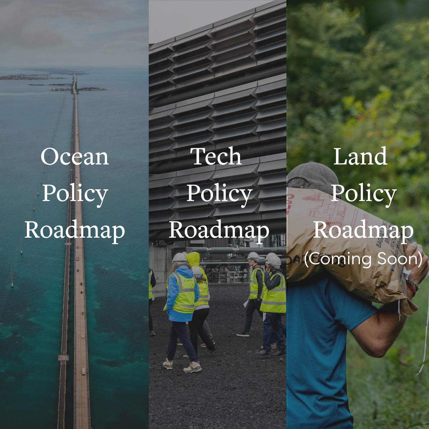 2030 Policy Roadmaps