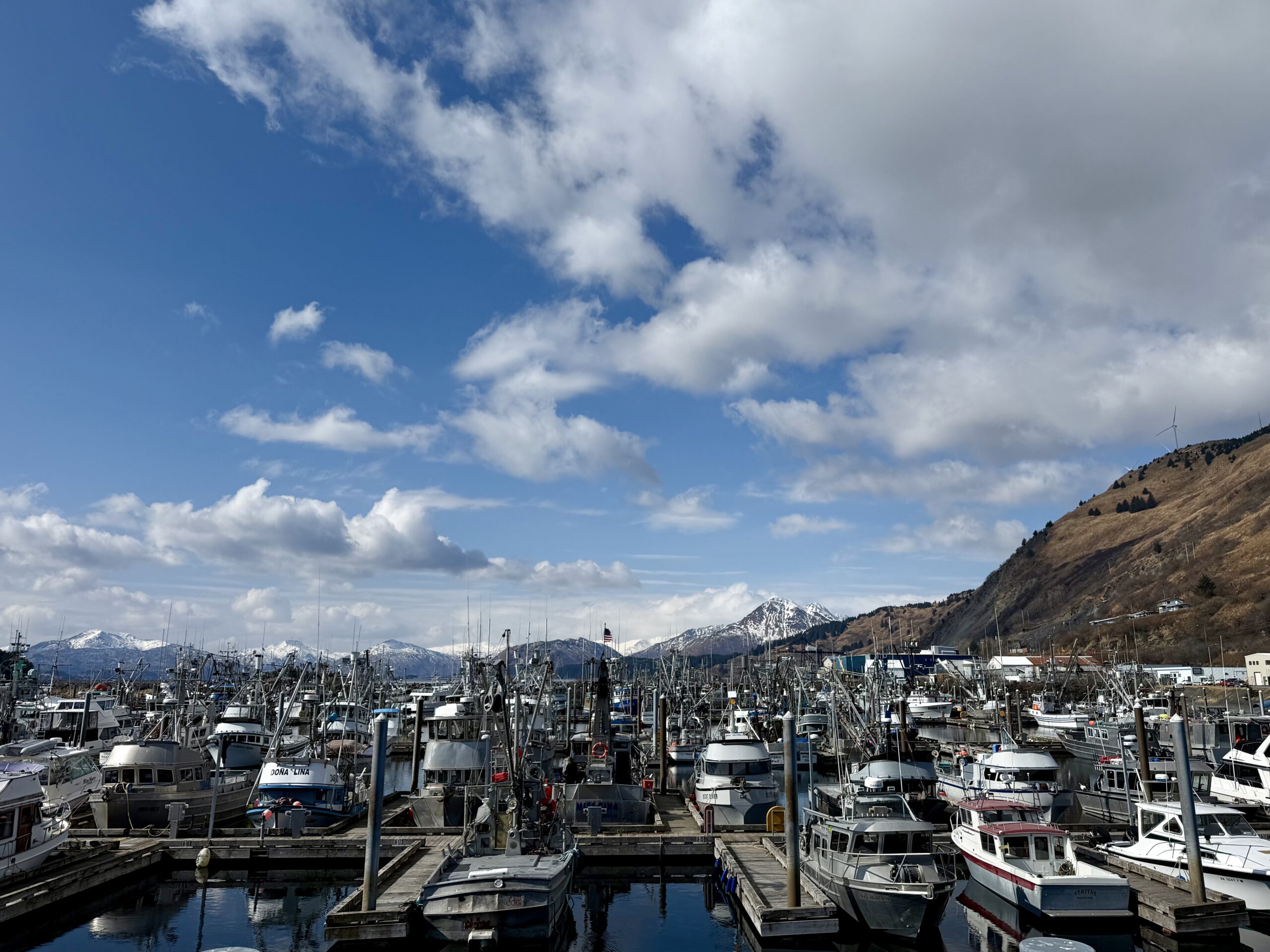 The Kodiak harbor.
