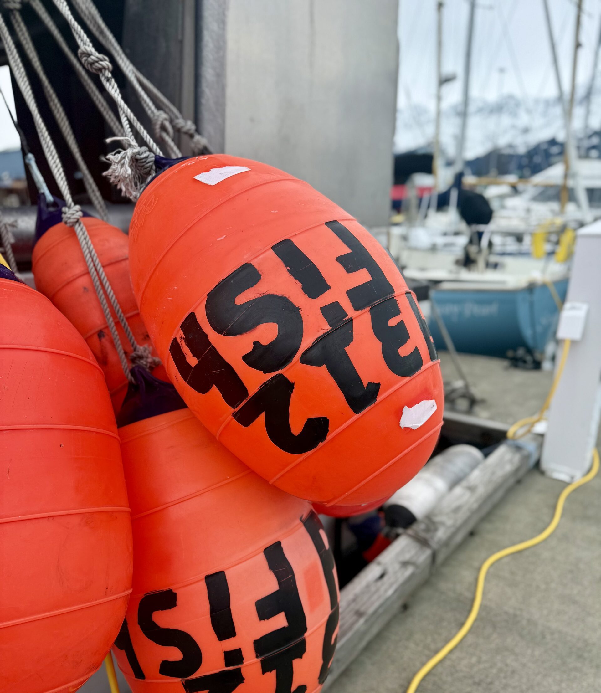 Buoys off a fishing vessel.