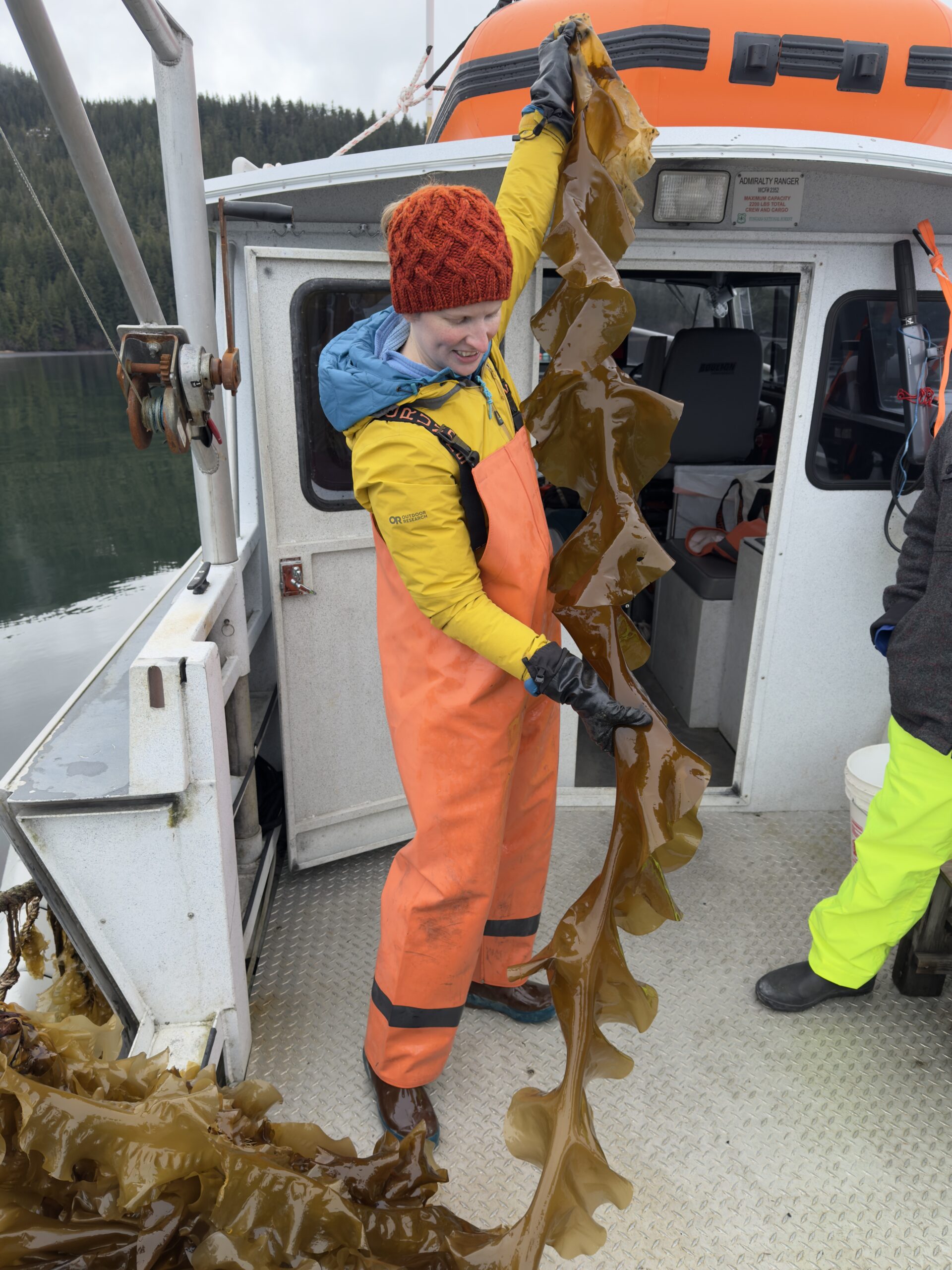 Caitlin McKinstry, ADM, with sugar kelp.