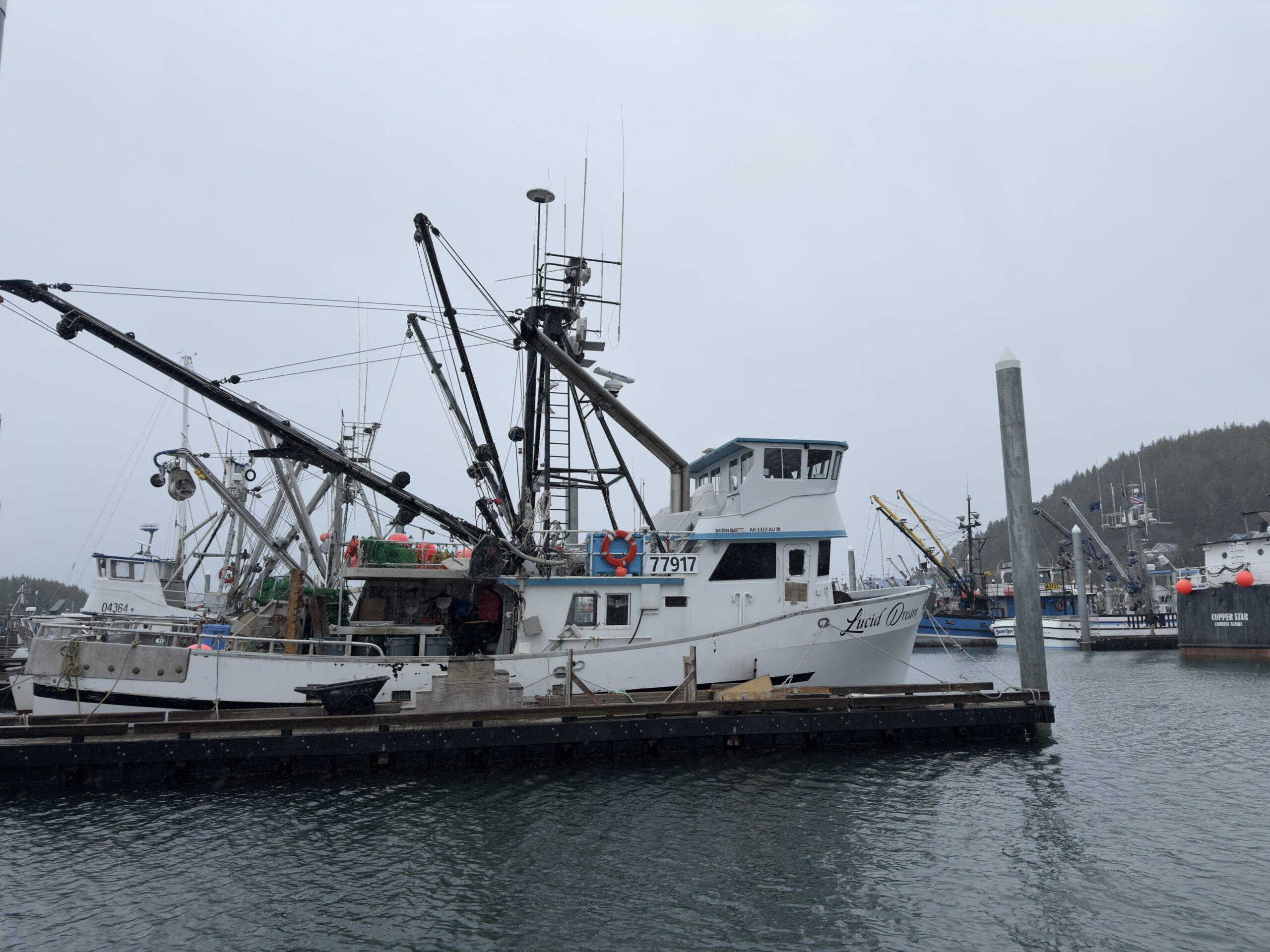 F/V Lucid Dream, a seiner/longliner/tender in the Cordova boat harbor