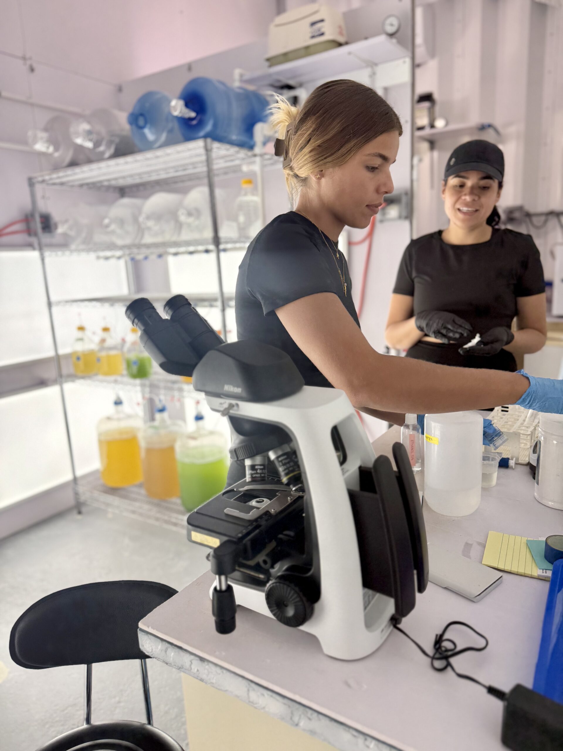 ISER Caribe staff working in the lab