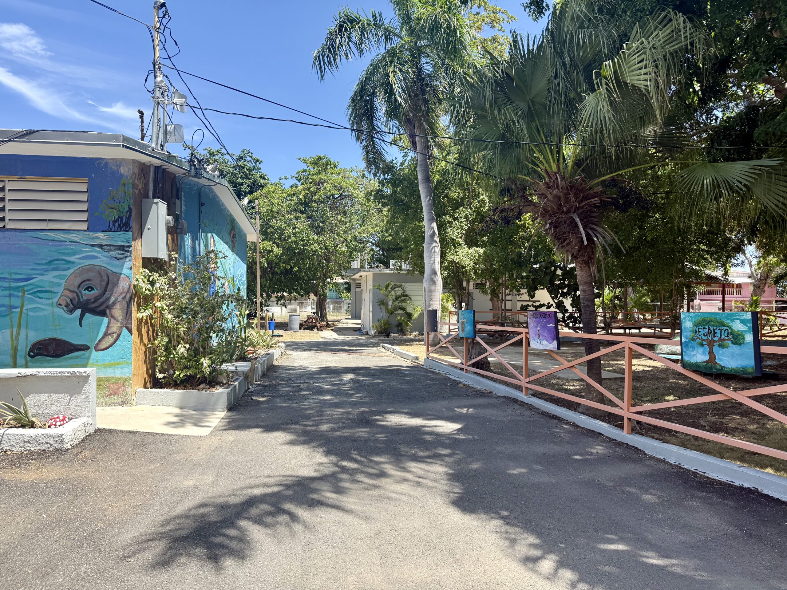 There are murals dedicated to marine-life specific to the region, and areas where students can show off their demonstration projects