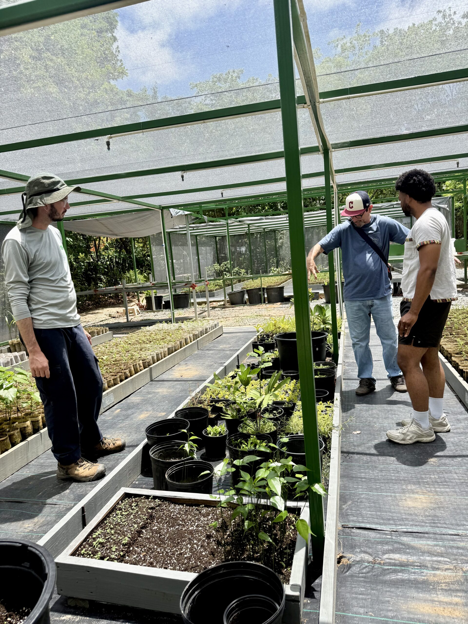 Eric Rosado and Braulio A Quintero discuss local plant species