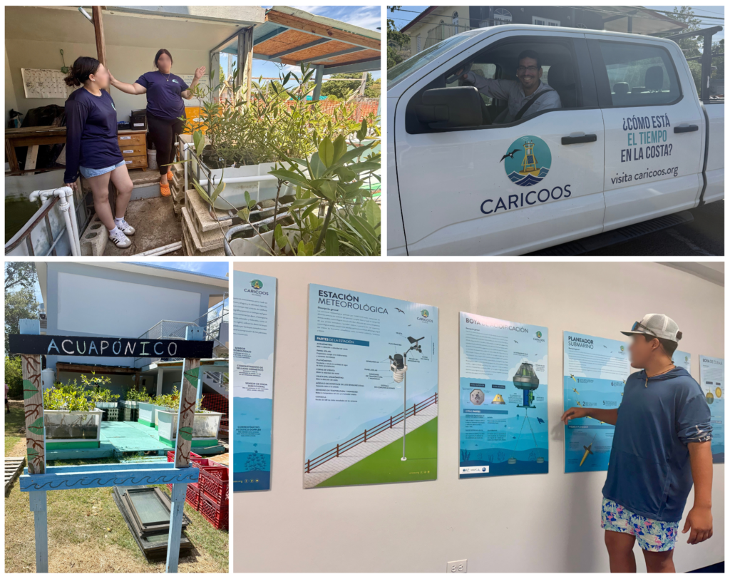 [1] Two students explained how their aquaponic system functions and how their mangrove nursery is managed, including notes on carbon sequestration and how mangroves improve coastal resilience [2] A member of the CARICOOS team stopping to talk [3] A student demonstration area for aquaponics [4]  A student used ocean observation tools to examine climate impacts to their community over time and future climate scenarios from local sea level rise.