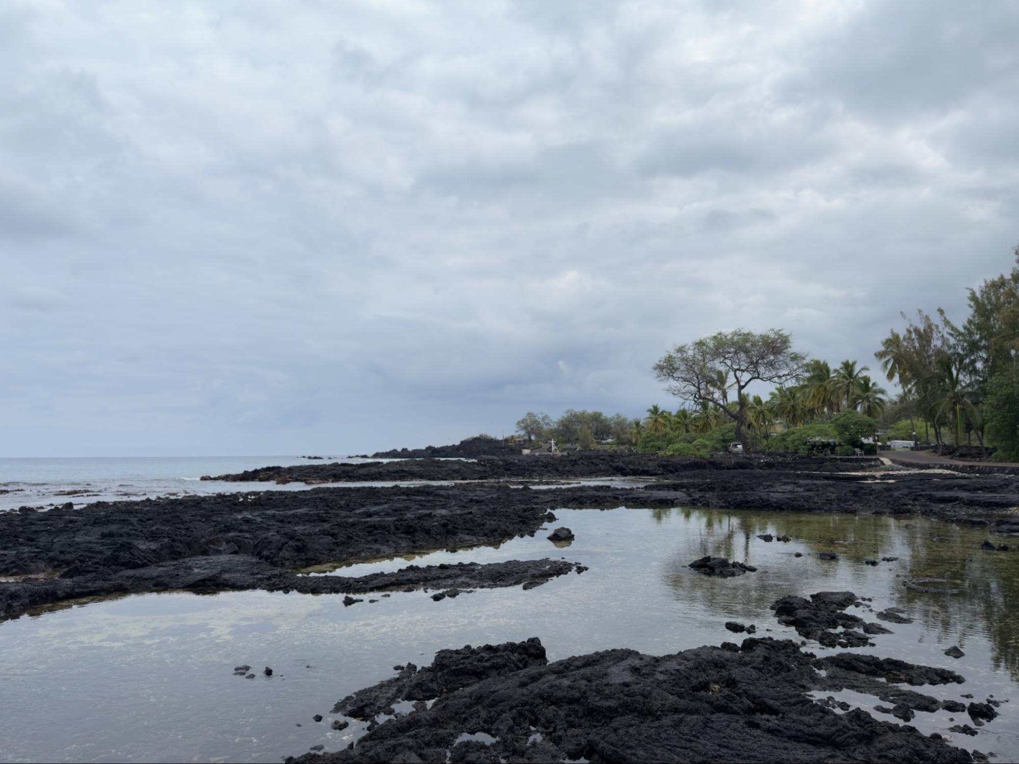 Kalanihale members and ʻĀina Momona members