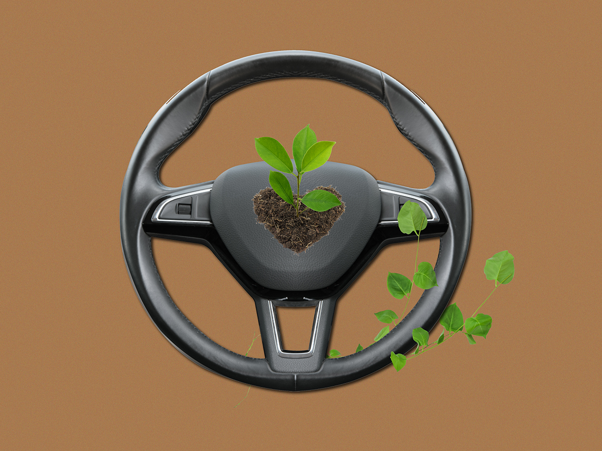 Restoring Carbon for Healthy Agricultural Lands